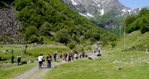 transhumance_15_edition_2014.JPG
