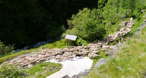 transhumance_6_edition_2014.JPG
