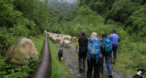 03062017-IMG_3110