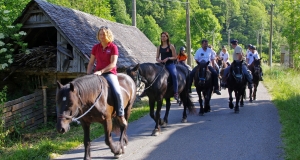 K3_3171_Chevaux